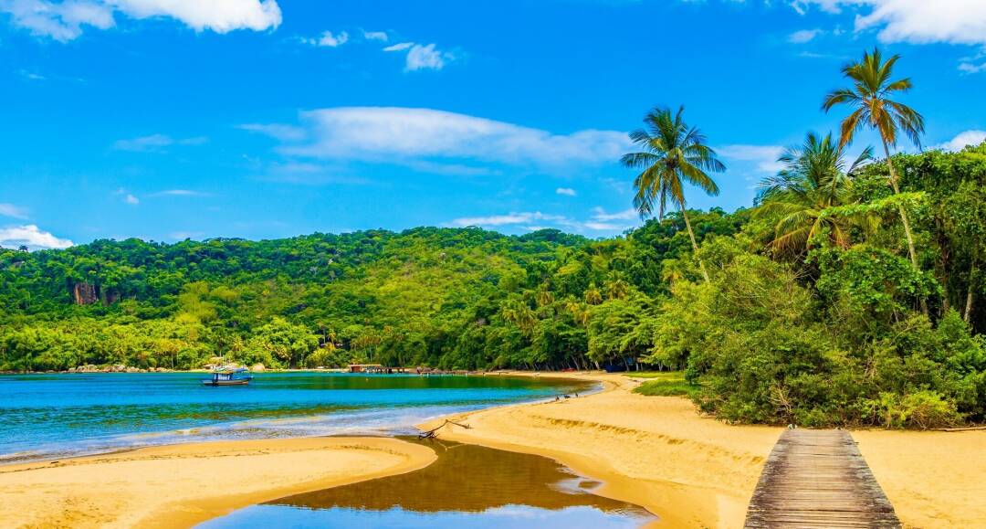Exotisch Brazilië: groene campo's, Rio en tropische stranden - Brazilië