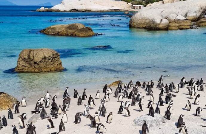 Rondreis Zuid-Afrika: bekijk onze top 5 bezienswaardigheden