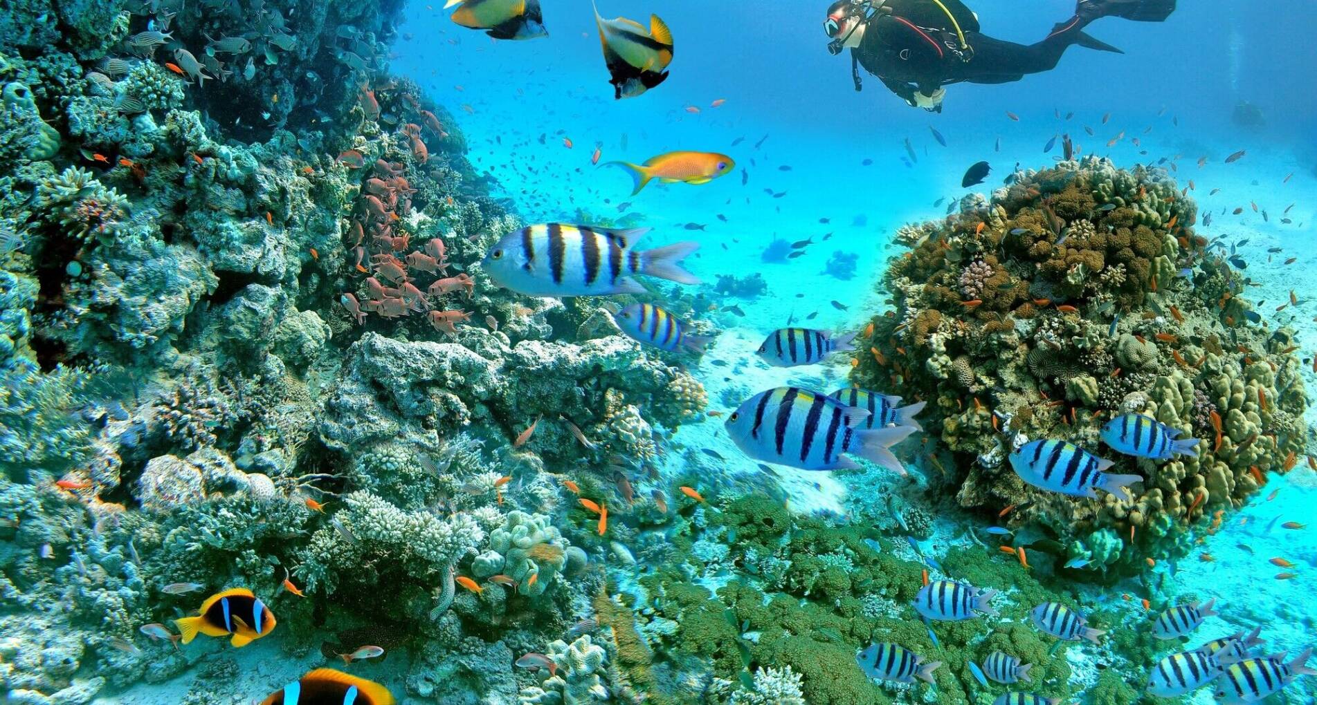 Winterzon Egypte: Hurghada aan de Rode Zee - Egypte - 1