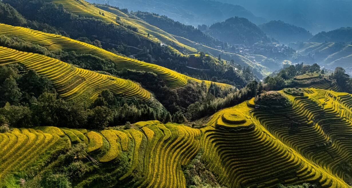 Keizerlijk China: Wereldsteden, panda's en spectaculaire landschappen - ChinaChengdu - Guilin - Longsheng 