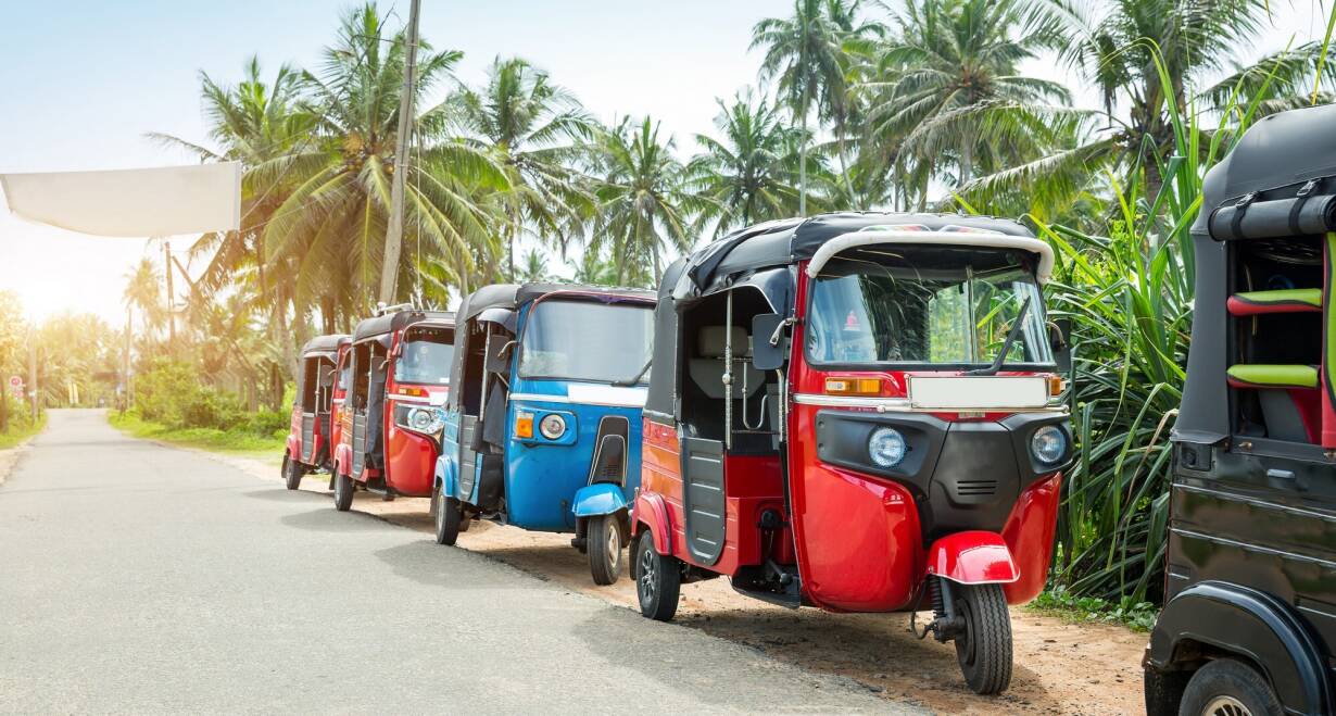 Sri Lanka, Kleurrijk Ceylon - Sri LankaTerugvlucht naar Nederland