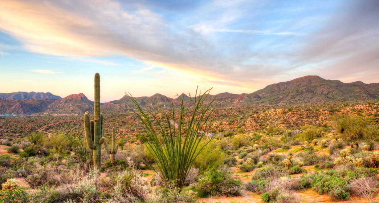 Fly & Drive Amerika, The Best of West - Verenigde StatenLos Angeles - Palm Springs (ca. 185 km) 