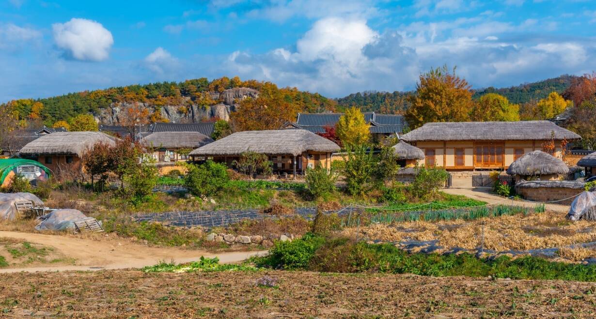 Zuid-Korea: modern Seoul, serene rust en rijke geschiedenis - Zuid-KoreaSokcho - Dongang - Dosanseowon Confucian Academy – Hahoe - Andong