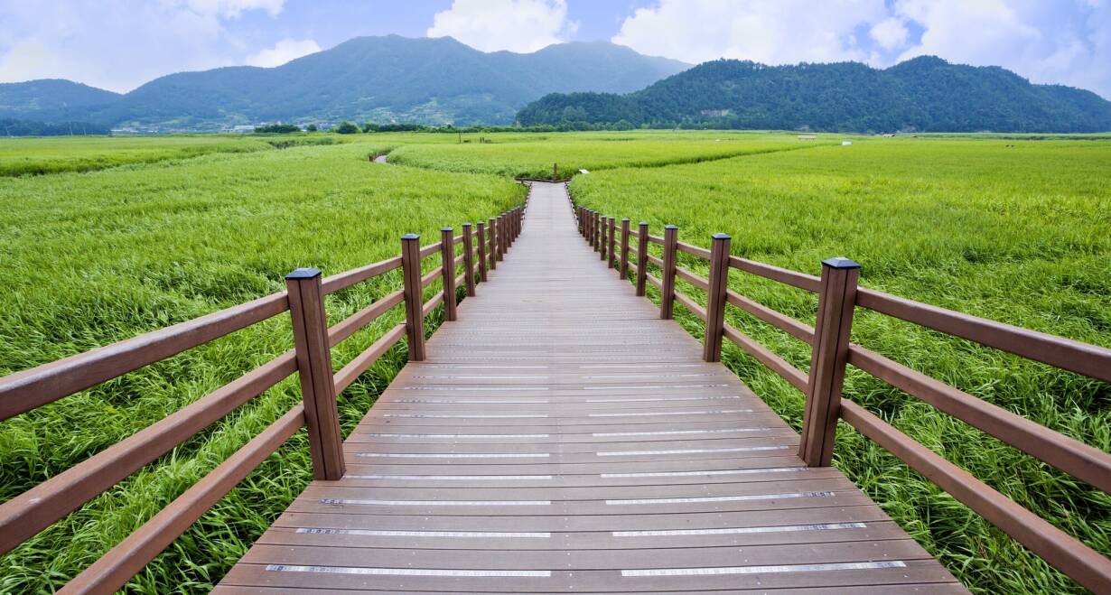 Zuid-Korea: modern Seoul, serene rust en rijke geschiedenis - Zuid-KoreaSuncheon - Boseong – Gwangju