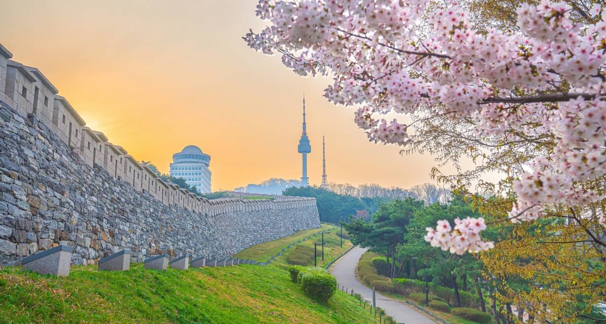 Zuid-Korea: modern Seoul, serene rust en rijke geschiedenis - Zuid-KoreaVlucht Seoul - Amsterdam